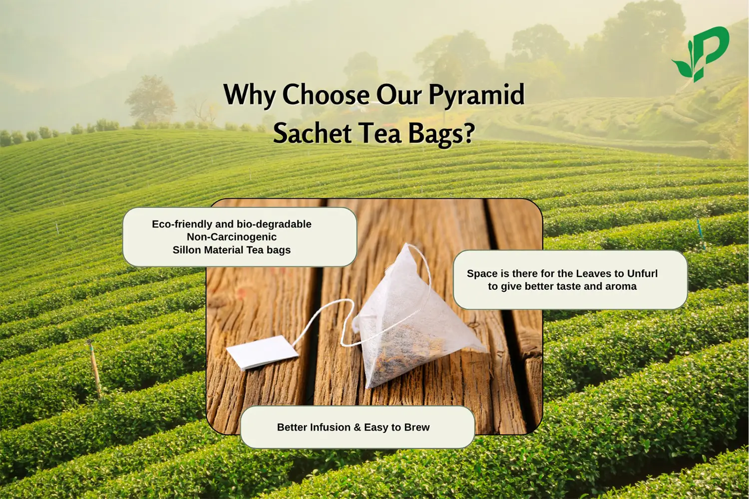 Premium biodegradable pyramid tea bags designed by Indian exporter for clean, flavorful infusions.