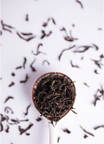 Flavorful mint medley black tea crafted by the certified tea manufacturers and exporters from India